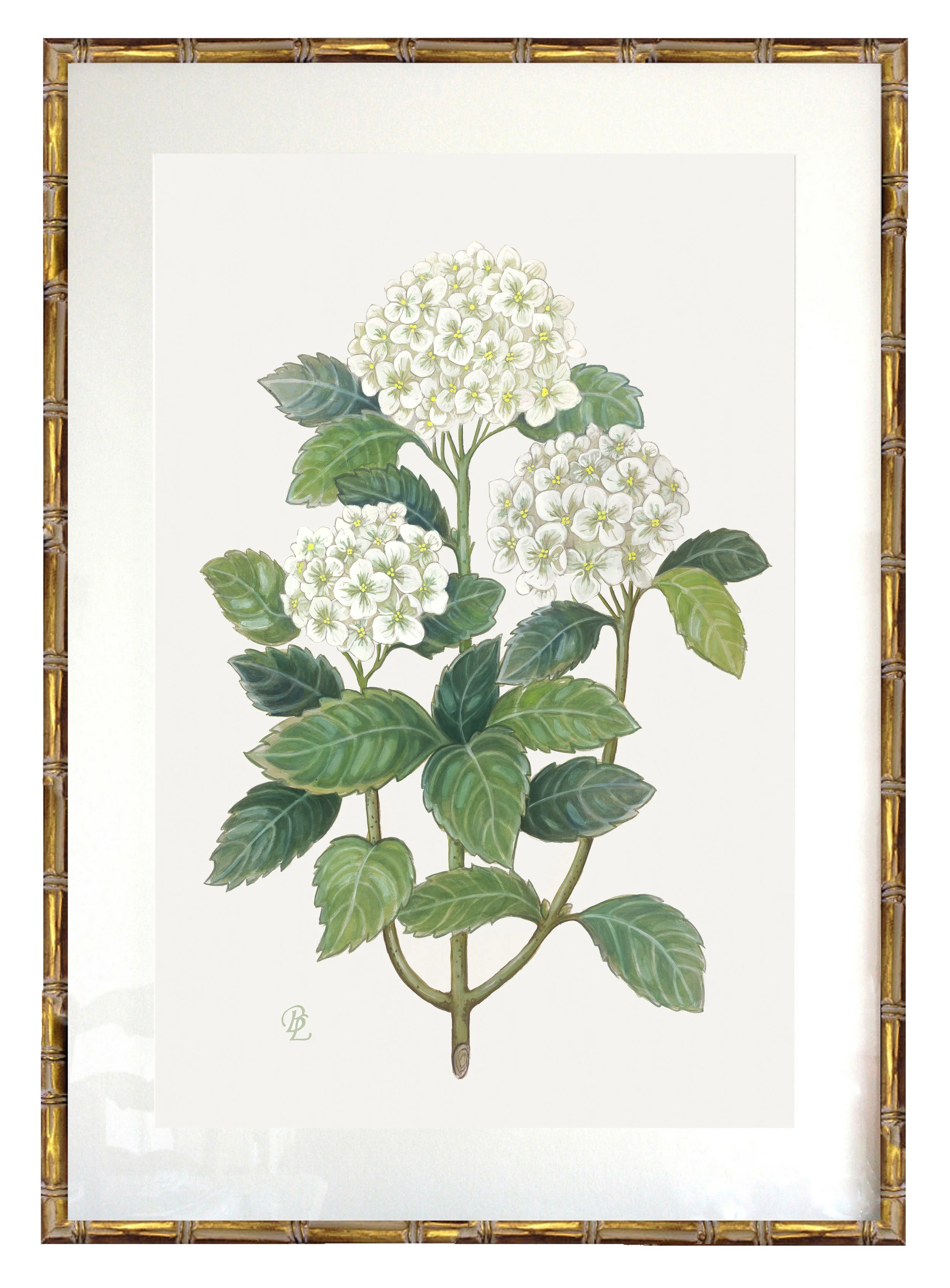 Hydrangea+Gold+frame+2.5cm.jpg